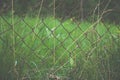 Steel mesh fence. Behind the net, green grass grows. Royalty Free Stock Photo