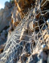 Steel Mesh Netting for Slope Stabilization Royalty Free Stock Photo