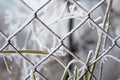 Steel metal net wire fence covered in ice crystal frost Royalty Free Stock Photo