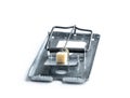 Steel mouse or rat trap with a piece of cheese bait isolated on white Royalty Free Stock Photo