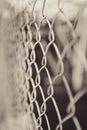 Steel net fence with blur background Royalty Free Stock Photo