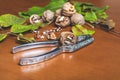 Steel Nutcracker against background of group of walnuts Royalty Free Stock Photo