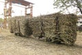 A steel old train loaded with freshly harvested sugarcane ready to transport to sugar factory in Solo, Indonesia Royalty Free Stock Photo