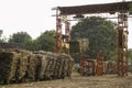 A steel old train loaded with freshly harvested sugarcane ready to transport to sugar factory in Solo, Indonesia Royalty Free Stock Photo