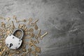 Steel padlock, keys and space for text on grey background, flat lay. Safety concept Royalty Free Stock Photo