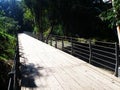 Steel Pathways are constructed with wooden platform for walking and cycling people