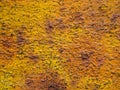 Yellow Rusty Metal Iron Steel Texture