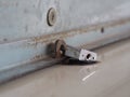 Steel Roller shutter door lock by Padlock stainless key front close shop