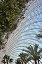 Steel roof and Plants