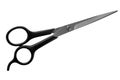 Steel scissors with black handles isolate