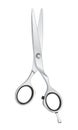 Steel Scissors