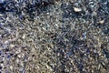 Steel scrap materials recycling. Abstract, background and texture of metal shavings. Aluminum chip waste Royalty Free Stock Photo