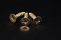 Steel screws on black background, head view