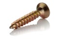 Steel self-tapping screw coated with yellow zinc