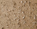 Old bright exfoliated paint Royalty Free Stock Photo