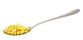 Steel spoon full of corn kernels isolated