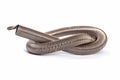 Steel spring Royalty Free Stock Photo
