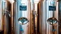 Steel stainless tanks for beer fermentation and maturation in modern private brewery, beer