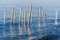 Steel Stakes On The Sea Royalty Free Stock Photo