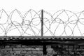 Steel strands of rolled barbed wire on the fence of the prison against the gray sky.