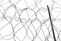 Steel strands of rolled barbed wire on the fence of the prison against the gray sky.