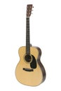 Steel-string Acoustic Guitar