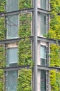 Steel structure building covered by green plant