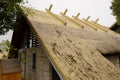 Steel structure building with pitched and thatched roof