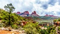 The steel structure of Midgely Bridge on Arizona SR89A between Sedona and Flagstaff over Wilson Canyon at Oak Creek Canyon Royalty Free Stock Photo