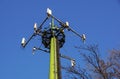 Steel telecommunication tower with antennas over blue sky and trees Royalty Free Stock Photo