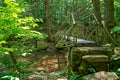 Steel trail bridge over a creek Royalty Free Stock Photo