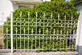 Steel white fence for a shrub