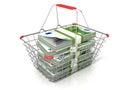 Steel wire shopping basket full of euros stacks