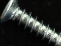 Steel Wood screw wood screws screw press hard