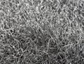 Steel wool Royalty Free Stock Photo