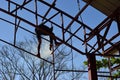 Steel worker welding trusses of a covered gym court.