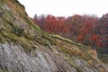 Steep bank - Brodtener shore - at the -Timmendorfer beach - Luebeck,