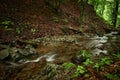 Steep bank of a mountain stream. Clear waters of a mountain stream with shores covered with fallen leaves. Royalty Free Stock Photo