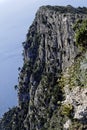 Steep Cliff Capri