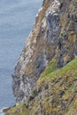 Steep cliffs with northern gannets nesting