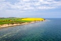 The Steep Coast Of Boltenhagen The Rapeseed Blooms In Bright Yellow