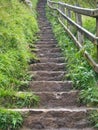 A steep flight of stone steps on a walking trail, surrounded by lush, green foliage and a wooden handrail on the right Royalty Free Stock Photo