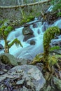 A steep forest stream that turns into a small waterfall