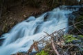 A steep forest stream that turns into a small waterfall