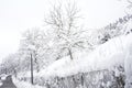 Steep garden with trees enclosed by a wire fence and asphalt pavement covered with snow during the winter season.