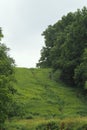 This is steep hill in the state park.