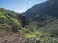 Steep narrow danger hiking trail through Barranco de Guarimiar Gorge. Green mountain canyon slopes with palm trees and