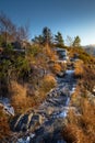 Steep path in autumn forest leading to snowy mountains peak