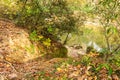 A Path Down to the River which is Lined with Rocks. Royalty Free Stock Photo