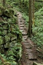 Steep path with stone steps in the woods